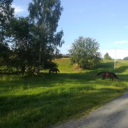 Bed & Breakfast Goscinne Duda Bialka Tatrzanska