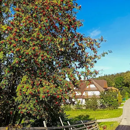 Frühstückspension Goscinne Duda