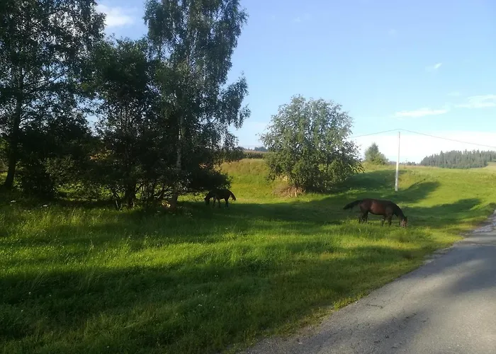 Bed & Breakfast Goscinne Duda Bialka Tatrzanska