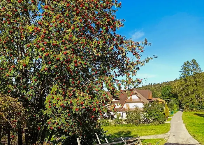 Bed & Breakfast Goscinne Duda